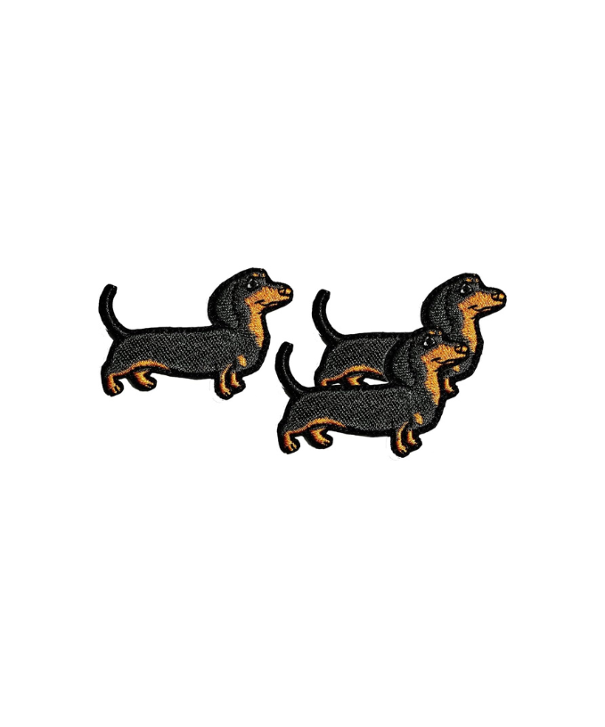 Dachshund Puppies
