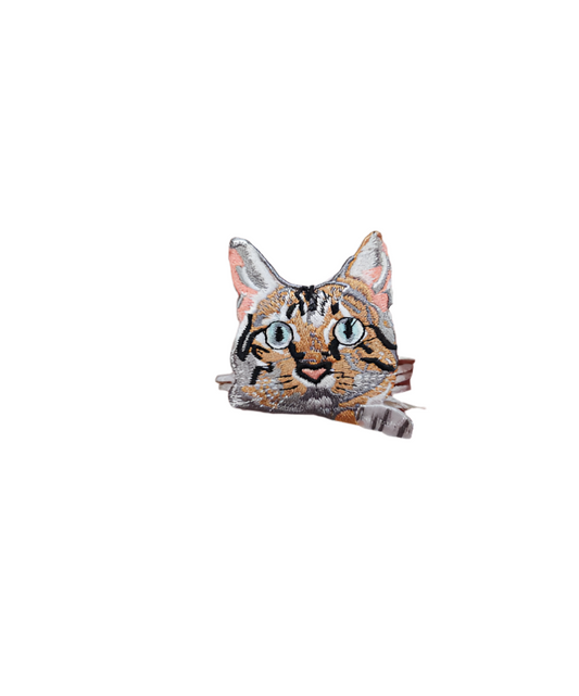 Calico face cat