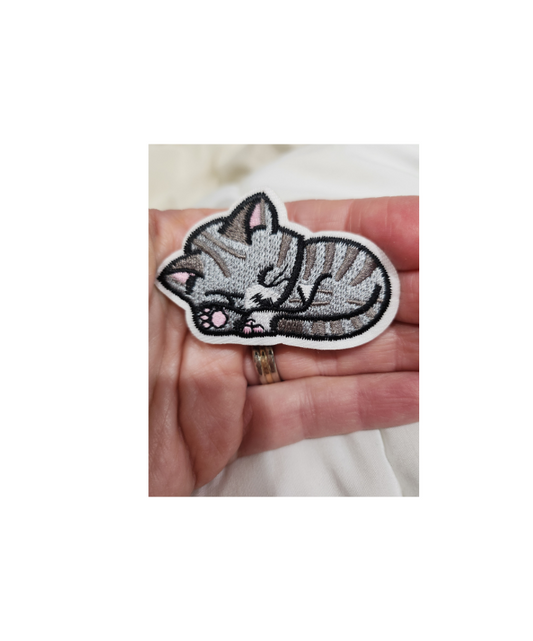 Sleeping cat