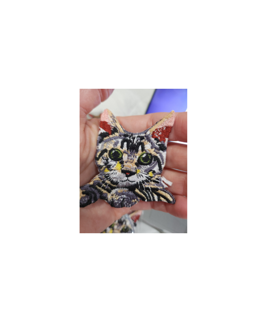 Tiger face cat
