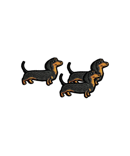 Dachshund Puppies