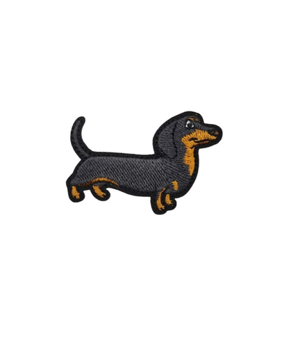 Dachshund Puppies