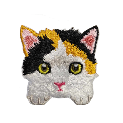 Kitty Faces